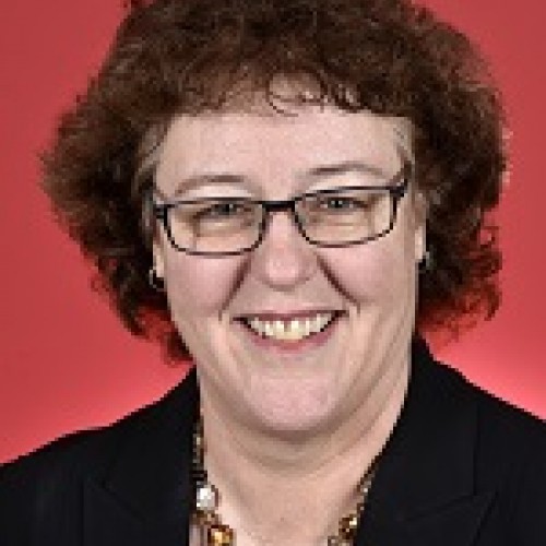 Senator Jacinta Collins profile image