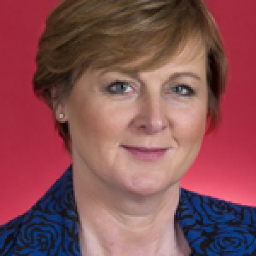 Senator Linda Reynolds CSC profile image