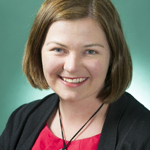 Lisa Chesters MP profile image