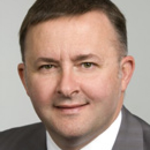 Anthony Albanese MP profile image