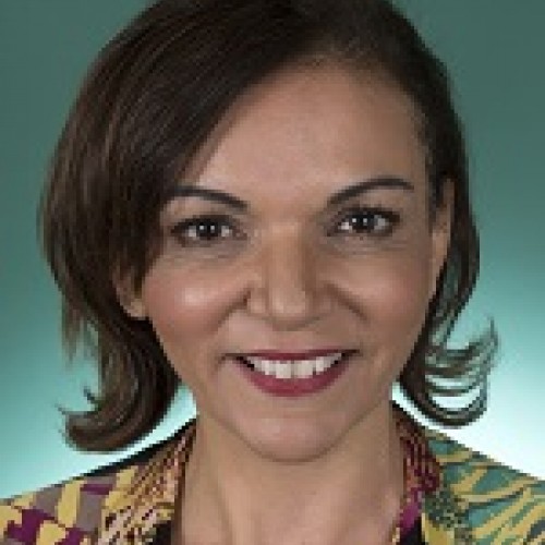Dr Anne Aly MP profile image